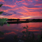 Северная белая ночь- как красочный ковер!