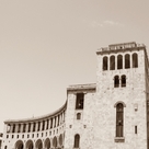 Без названия