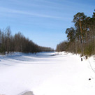 Весной запахло!