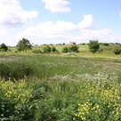 Степное раздолье