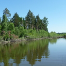 Тихая заводь на реке оке.иркутская область.