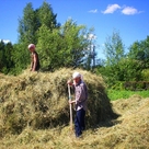 Стогование!..