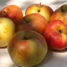 Без названия