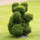 Без названия