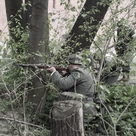 Без названия