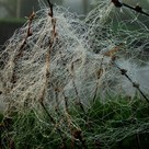 Вот и осень...