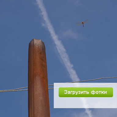 Модный фотосервис ЮФотки.ру — удобное размещение фотографий в интернете.