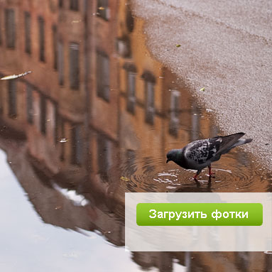 Модный фотосервис ЮФотки.ру — удобное размещение фотографий в интернете.