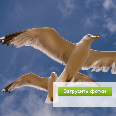 Модный фотосервис ЮФотки.ру — удобное размещение фотографий в интернете.