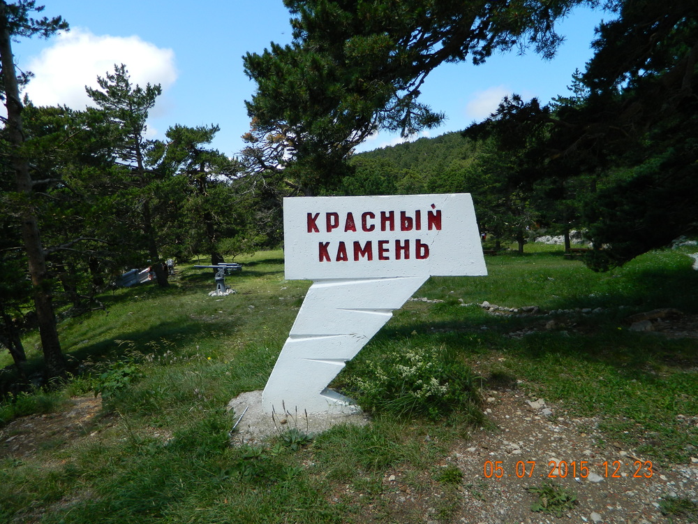 «Без названия»