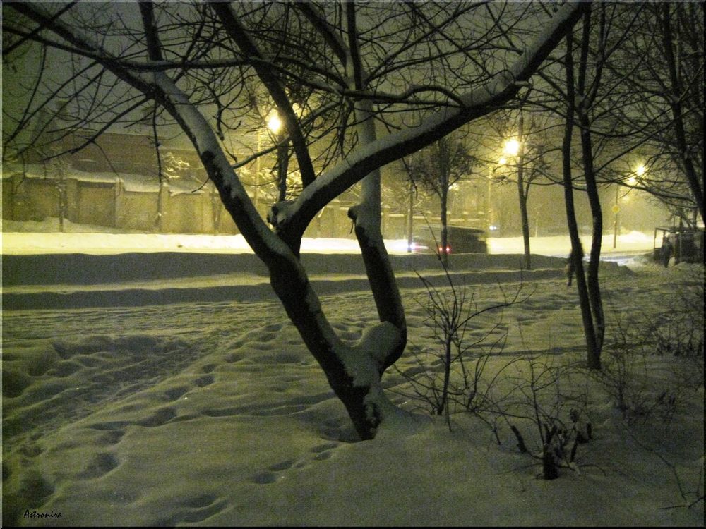 «Ночь, зима»