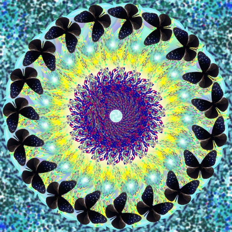 «Mandala butterfly»