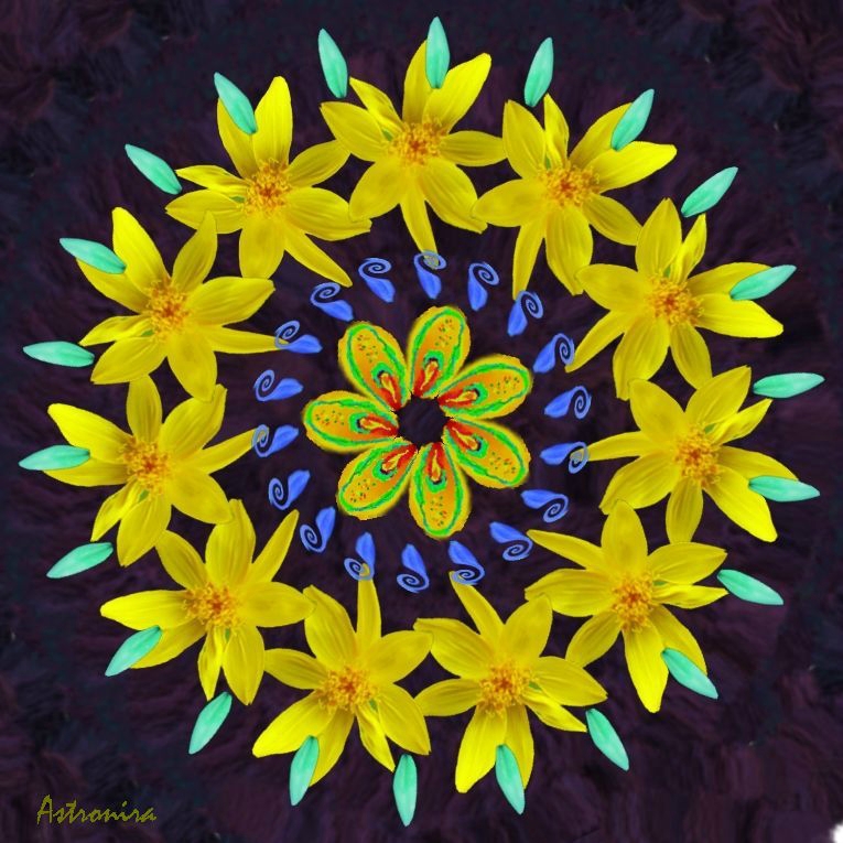 «Mandala Flowers»