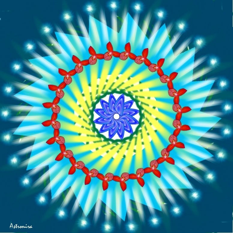 «Mandala»