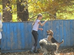 Без названия