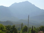 текирова