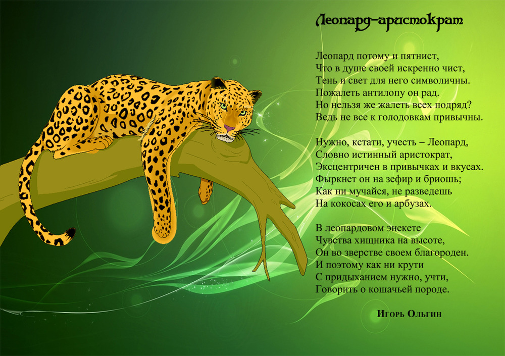 «Открытка Леопард-аристократ»