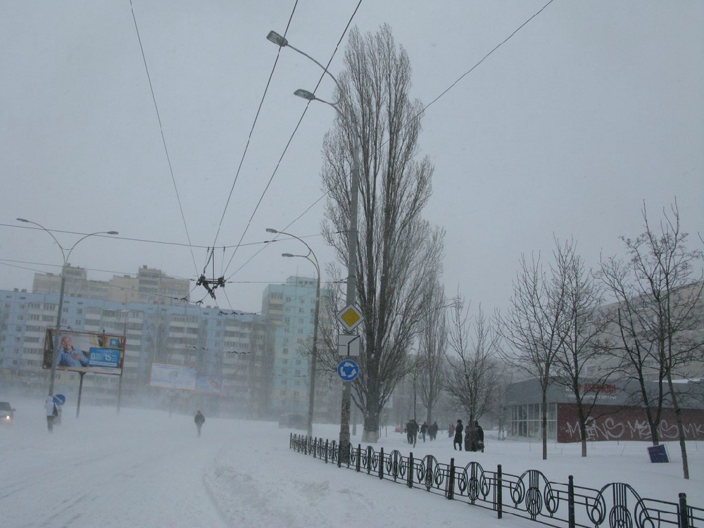 «Без названия»
