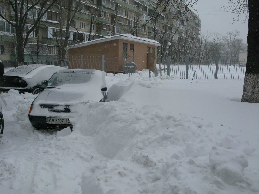 «Без названия»