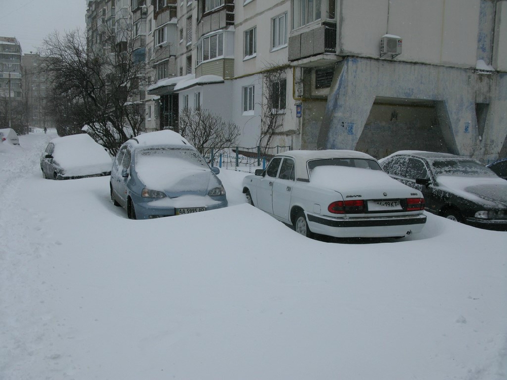 «Без названия»