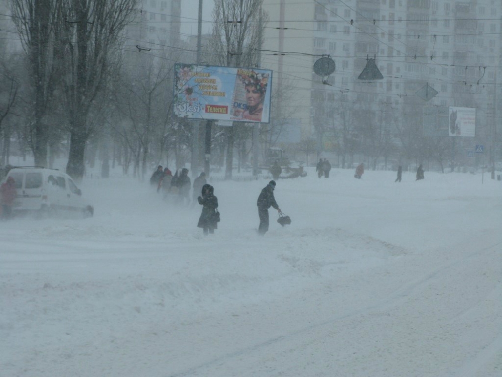 «Без названия»