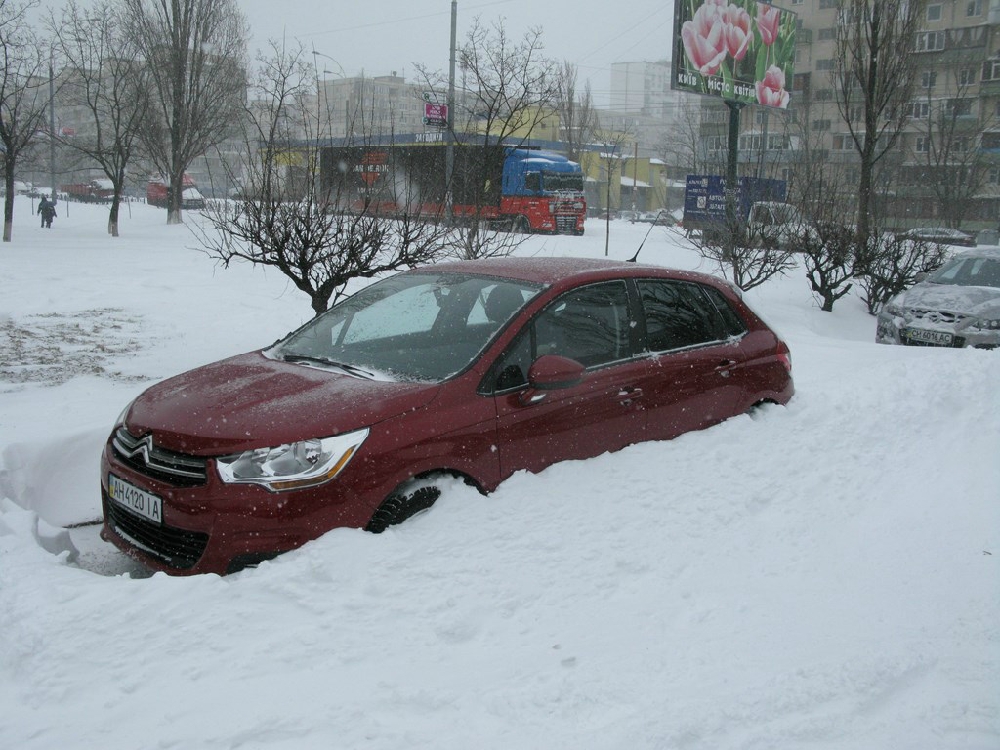 «Без названия»
