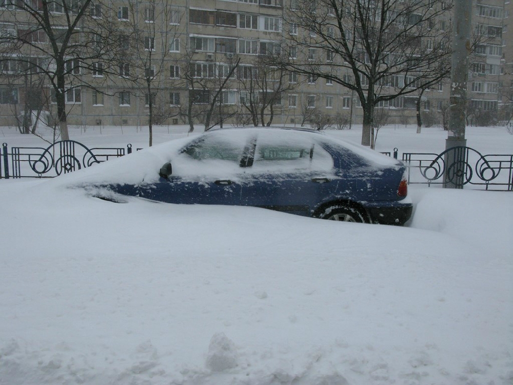 «Без названия»