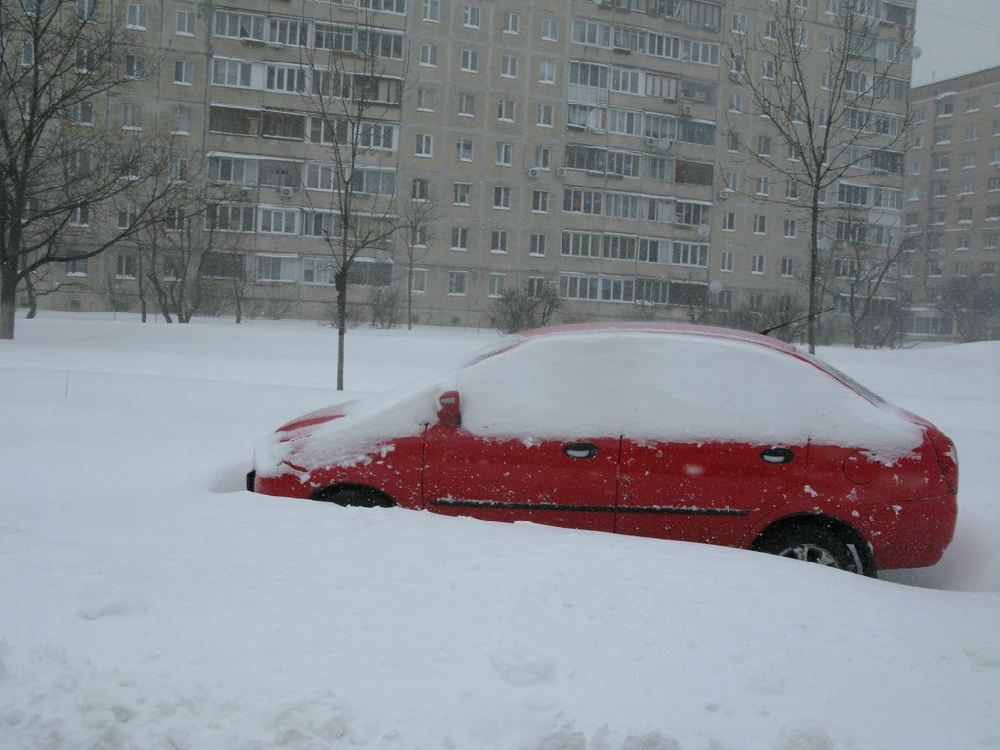 «Без названия»