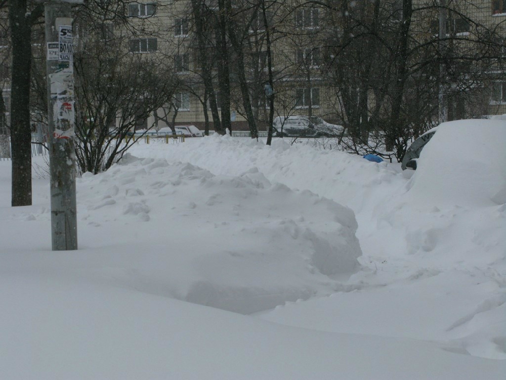 «Без названия»