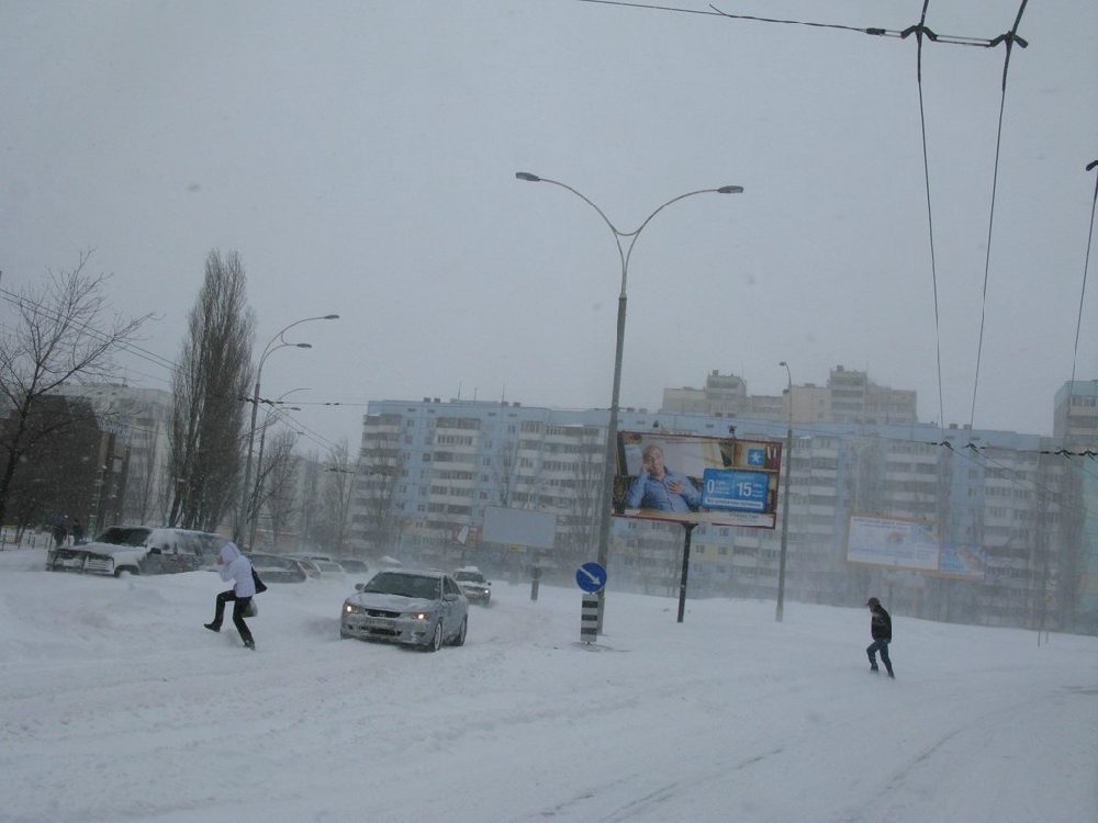 «Без названия»
