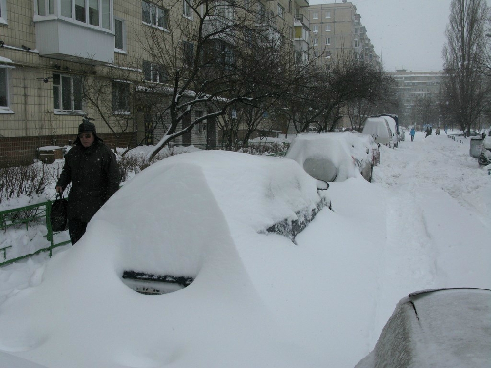«Без названия»