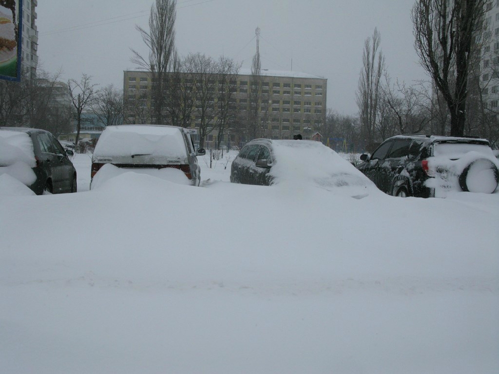«Без названия»