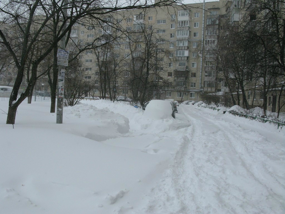 «Без названия»