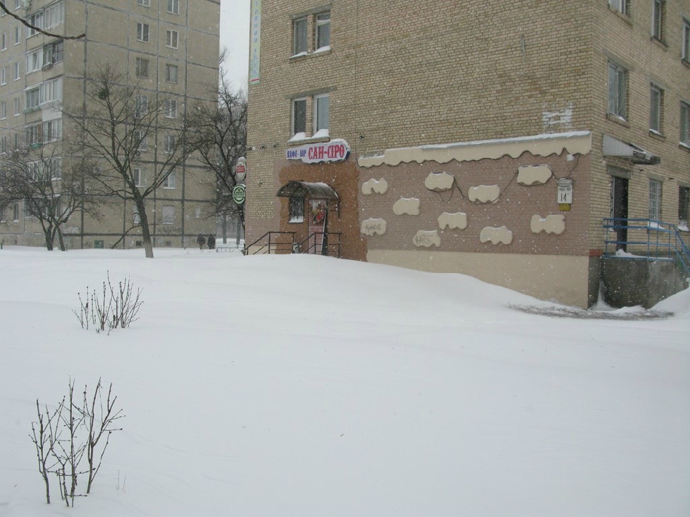 «Без названия»