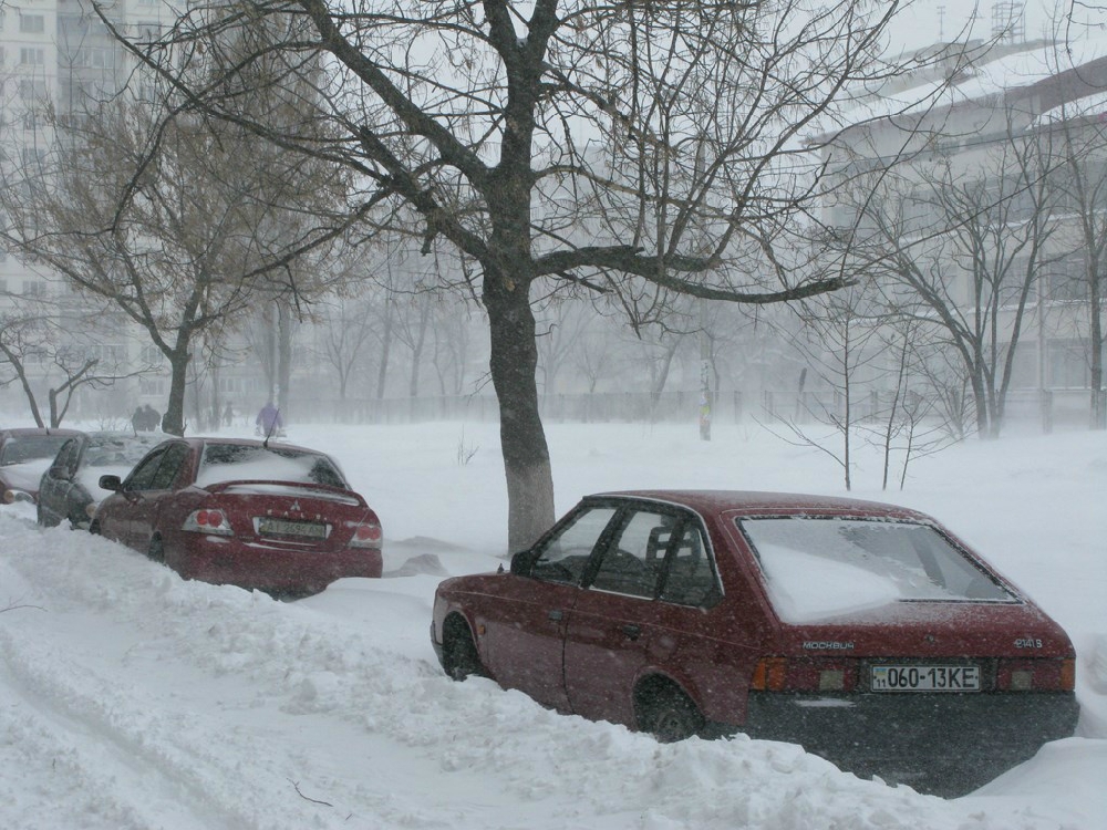 «Без названия»