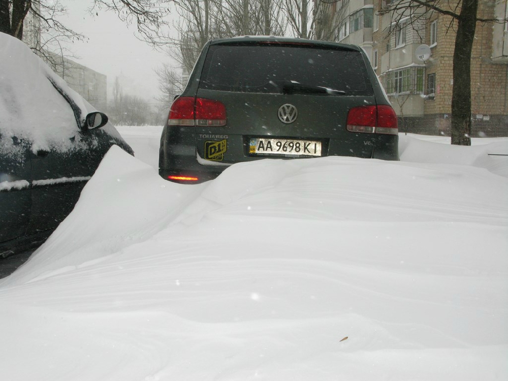 «Без названия»