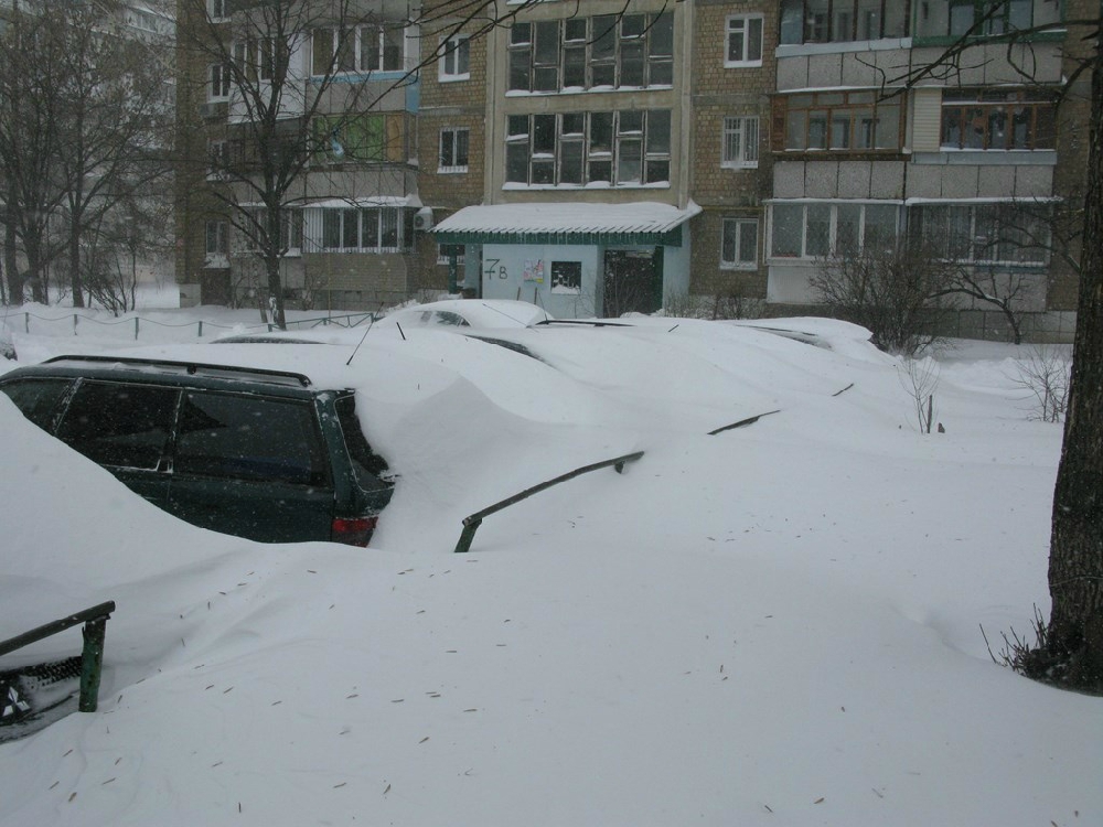 «Без названия»