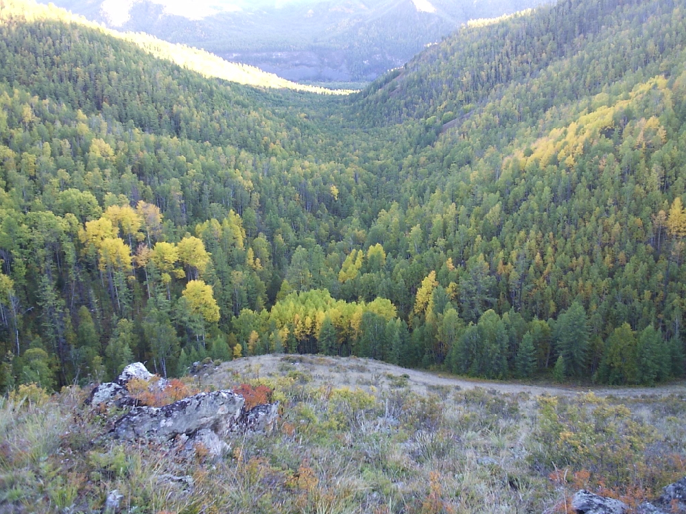 «Без названия»