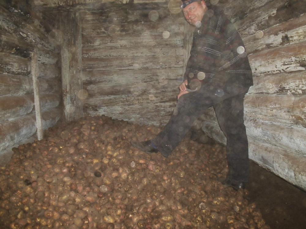 «Без названия»