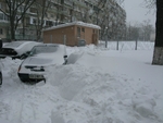 Без названия