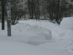 Без названия