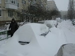 Без названия