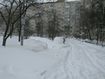 Без названия