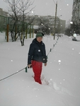 Без названия