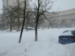 Без названия