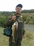 Без названия
