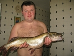 Без названия