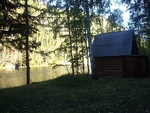 Без названия
