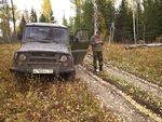 Без названия