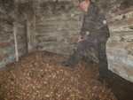 Без названия